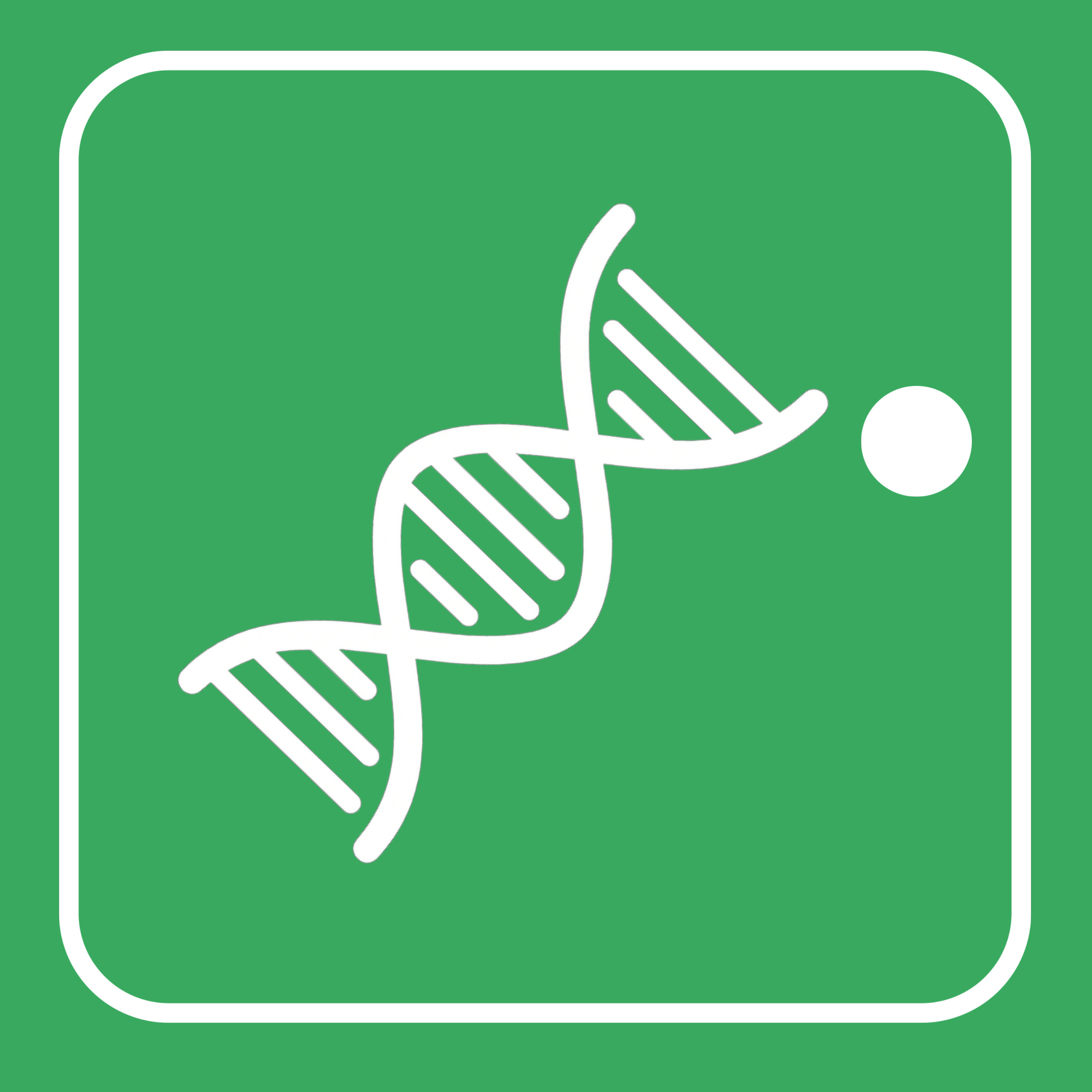 DNA Translator