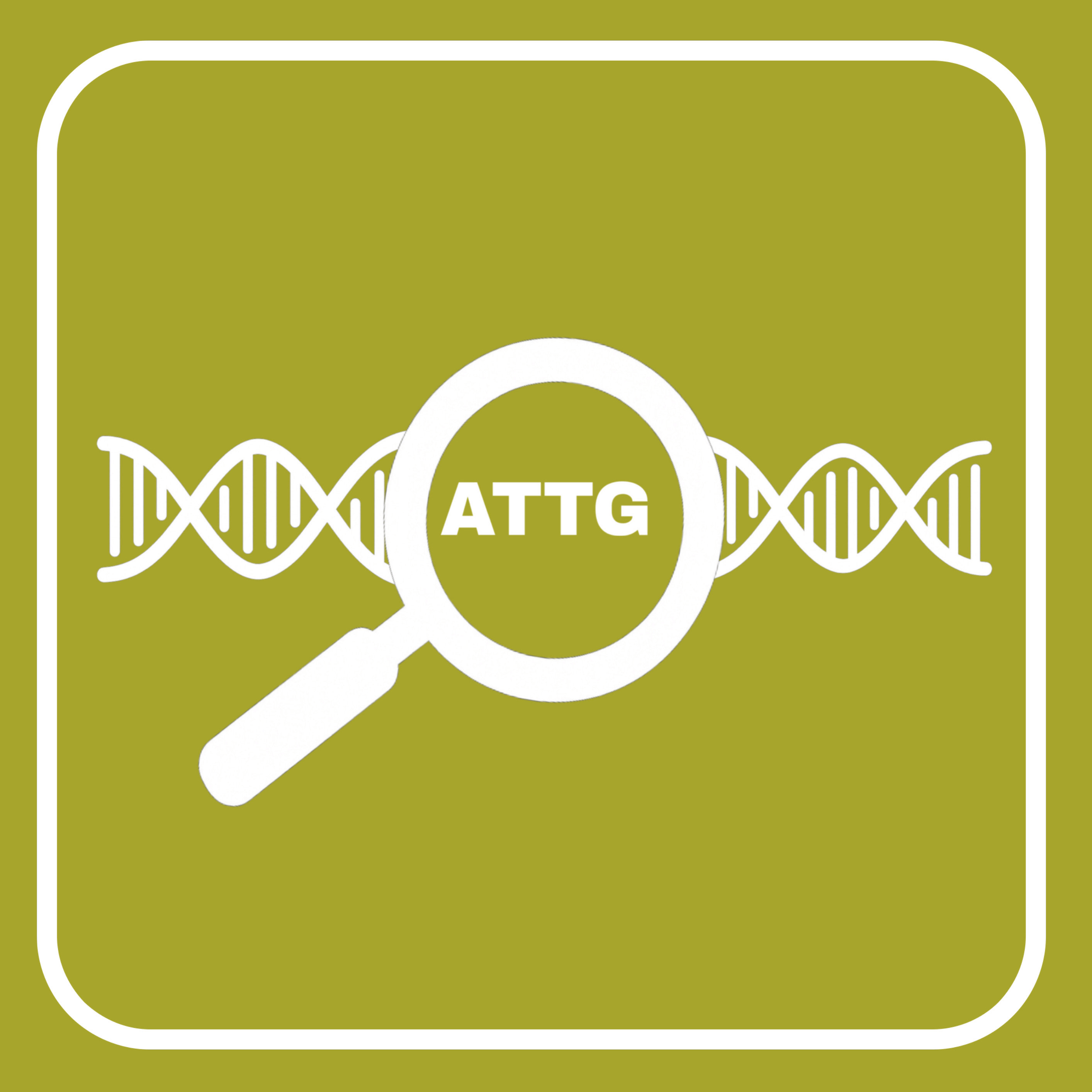 Sequence Search Tool